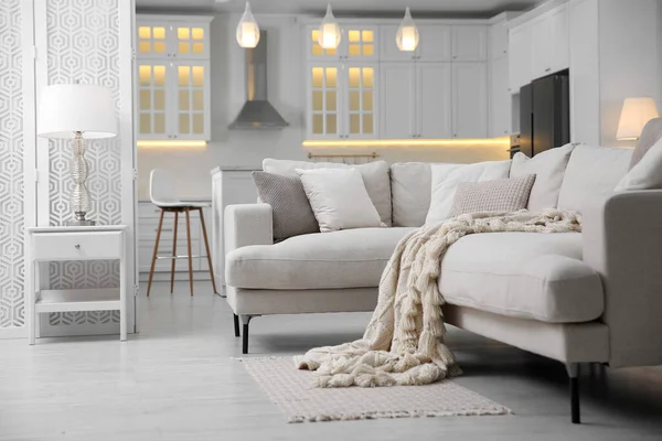 Moderne Wohnung Mit Bequemem Sofa Innenarchitektur — Stockfoto