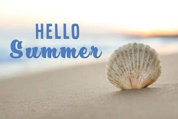 Hello Summer Beautiful Seashell Sandy Beach Closeup — Stock Photo, Image