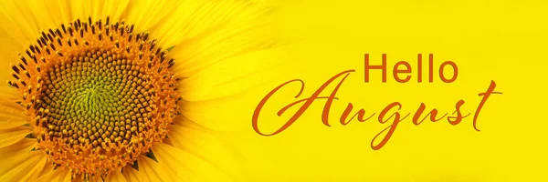 Hello August Beautiful Bright Sunflower Yellow Background Closeup — Stock Photo, Image