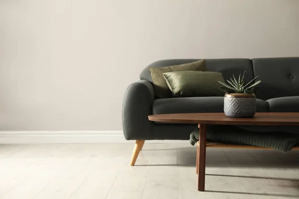 Stylowa Wygodna Sofa Pokoju Miejsce Tekst Projekt Wnętrza — Zdjęcie stockowe