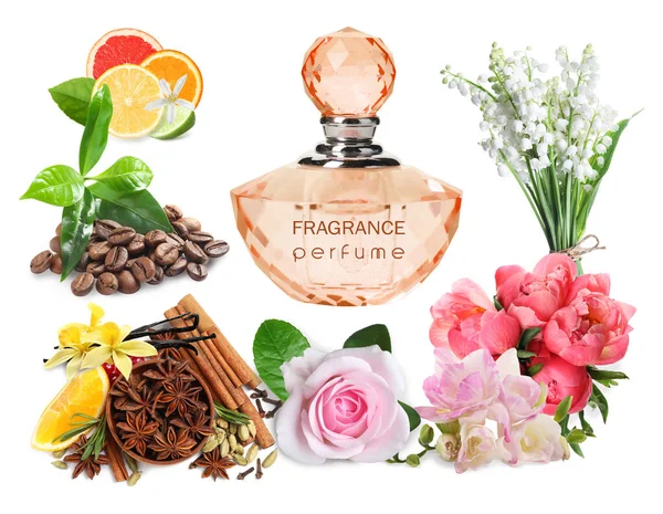 Botella Perfume Flores Especias Sobre Fondo Blanco Collage — Foto de Stock