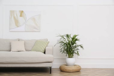 Oturma odasındaki beyaz duvarın yanında rahat bir kanepe ve çiçek var.