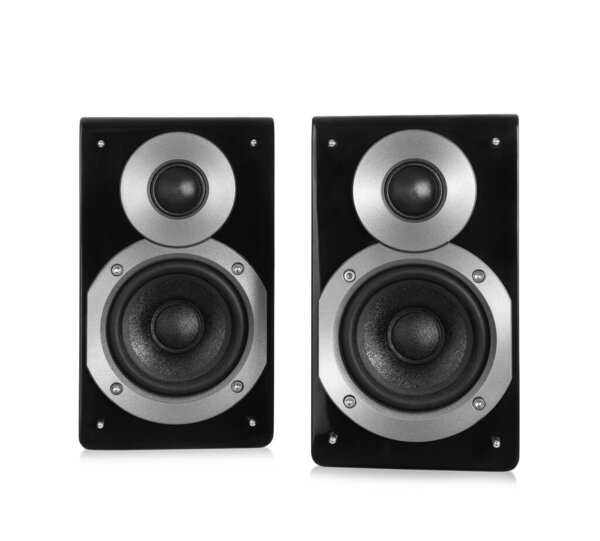 Modern powerful audio speakers on white background