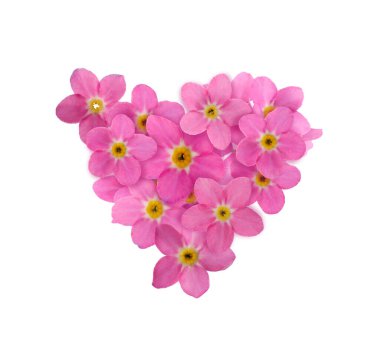 Hassas pembe beni unutma beyaz arka planda çiçekler olmasın