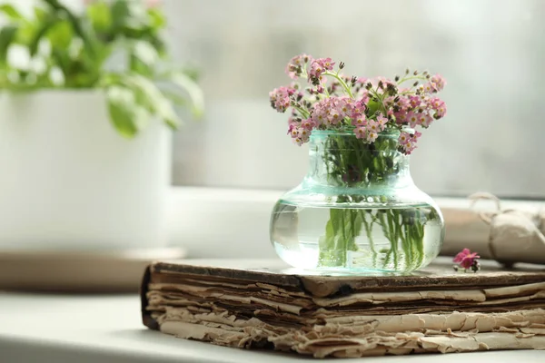 Όμορφα Λουλούδια Ξέχασέ Και Παλιό Βιβλίο Για Περβάζι Του Παραθύρου — Φωτογραφία Αρχείου