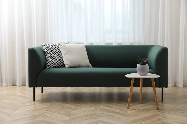 Elegante Salón Interior Con Cómodo Sofá Verde Hermosa Planta Cerca — Foto de Stock