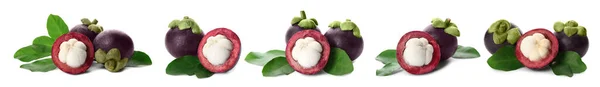 Conjunto Com Deliciosas Frutas Mangostão Fundo Branco Design Banner — Fotografia de Stock