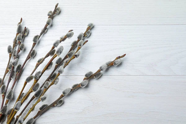 Beautiful Bouquet Pussy Willow Branches White Wooden Background Flat Lay — ストック写真