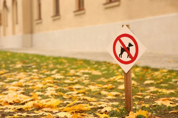 Pas Chien Autorisé Signe Dans Parc Jour Ensoleillé Automne — Photo