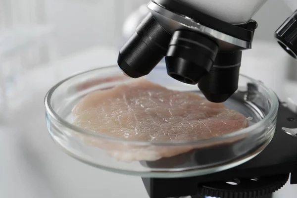 Petrischaal Met Stuk Rauw Gekweekt Vlees Onder Microscoop Laboratorium Close — Stockfoto