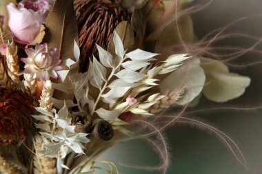 Güzel, kurumuş çiçek buketi, yakın çekim manzarası.