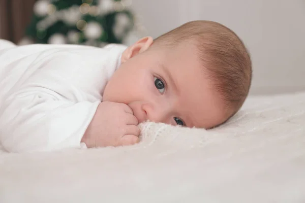 Noel Ağacı Olan Bir Odada Battaniyenin Üzerinde Şirin Bir Bebek — Stok fotoğraf