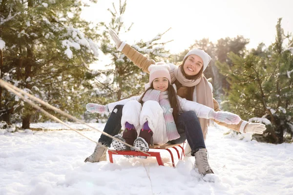 Mutlu Anne Kız Kış Günü Dışarıda Kızakla Kayıyor Noel Tatili — Stok fotoğraf