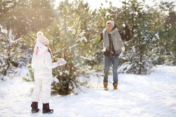 父亲和女儿在冬日外出打雪仗 圣诞假期 — 图库照片