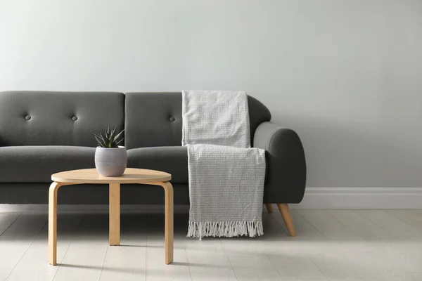 Stilvolles Wohnzimmerinterieur Mit Bequemem Grauen Sofa Und Schöner Pflanze — Stockfoto