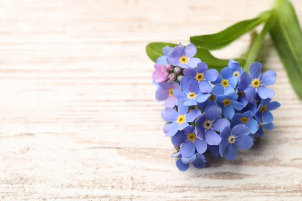 Linda Flor Azul Esqueça Não Mesa Madeira Branca Espaço Para — Fotografia de Stock