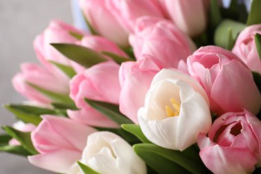 Büyük bir buket güzel laleler, yakın çekim manzarası.