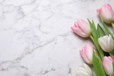 Beyaz mermer masadaki güzel laleler, düzlük. Metin için boşluk
