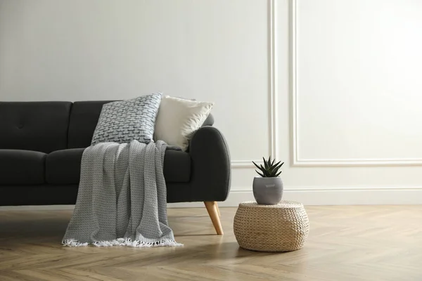 Intérieur Élégant Salon Avec Canapé Gris Confortable Belle Plante — Photo