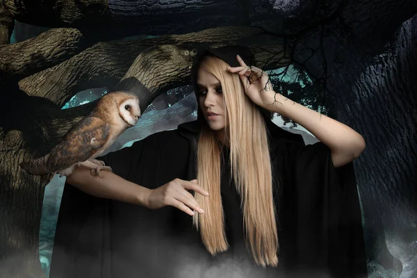 Bruxa Usando Manto Preto Com Coruja Floresta Nebulosa Mundo Fantasia — Fotografia de Stock