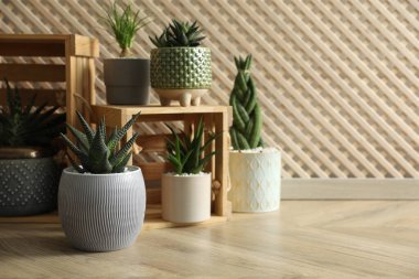 Kapalı bir yerde bir sürü güzel saksı bitkisi var, metin için de yer var. Çiçekli ev dekorasyonu