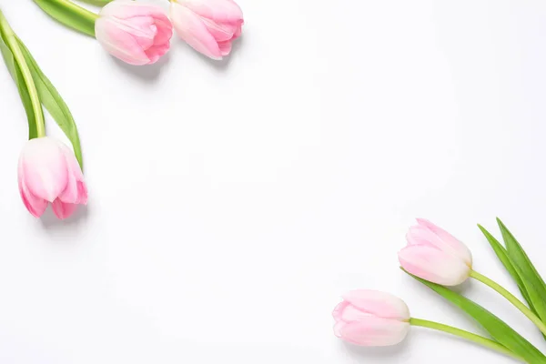 Gyönyörű Rózsaszín Tavasz Tulipán Fehér Háttér Felső Nézet Szöveg Helye — Stock Fotó