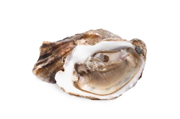 Fresh Raw Open Oyster White Background — Stock Photo, Image