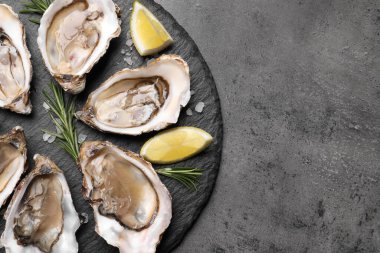 Gri masada servis edilen limon dilimli leziz taze istiridyeler. Metin için boşluk