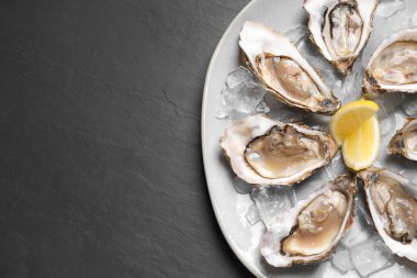 Siyah masa üzerinde servis edilen limon dilimli leziz taze istiridyeler, üst manzara. Metin için boşluk