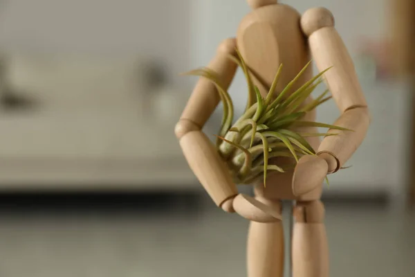 Figura Humana Madeira Com Bela Planta Tillandsia Dentro Casa Close — Fotografia de Stock