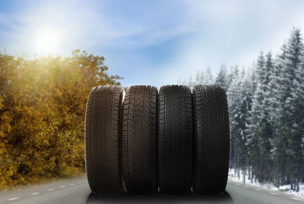 Set New Winter Summer Tires Asphalt Road Collage — Stock Photo, Image