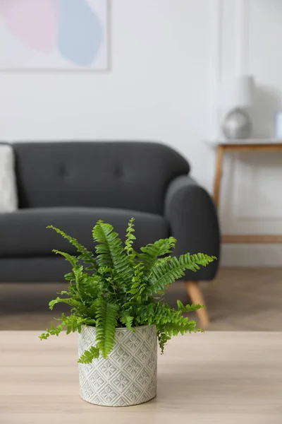 Prachtige Groene Varen Houten Tafel Woonkamer — Stockfoto