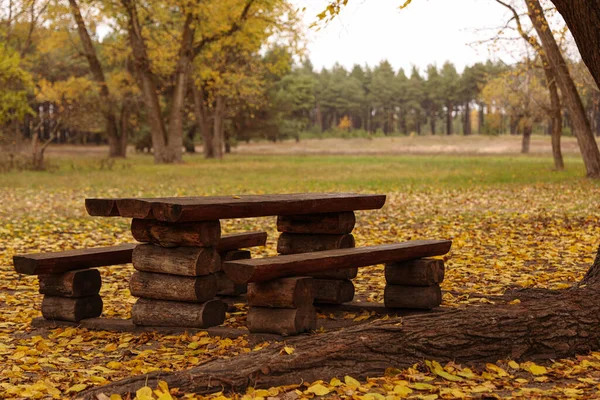 Пустой Деревянный Стол Скамейками Осеннем Лесу — стоковое фото