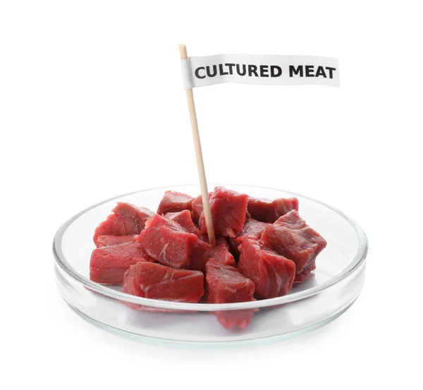 Petrischale Mit Rohen Fleischstücken Und Zahnstocher Etikett Auf Weißem Hintergrund — Stockfoto