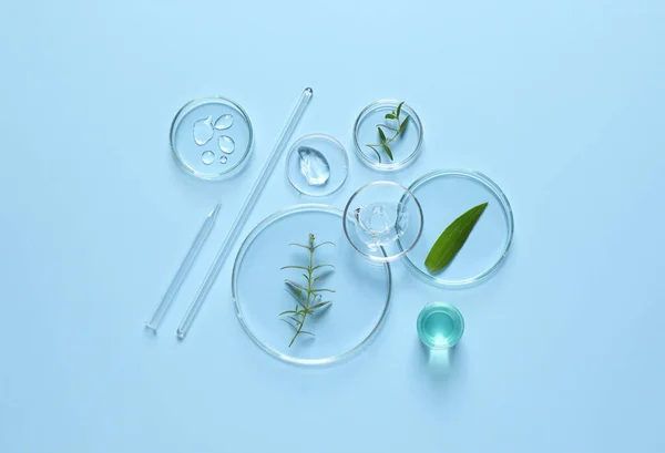 Лабораторний Скляний Посуд Натуральні Інгредієнти Органічного Косметичного Продукту Світло Блакитному — стокове фото