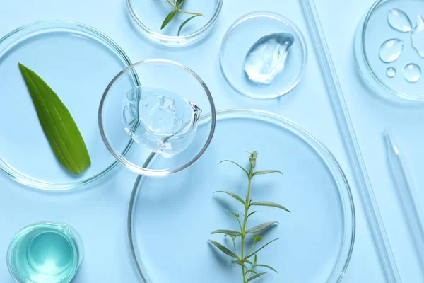 Wyroby Laboratoryjne Szklane Naturalne Składniki Produktów Kosmetycznych Ekologicznych Jasnoniebieskim Tle — Zdjęcie stockowe