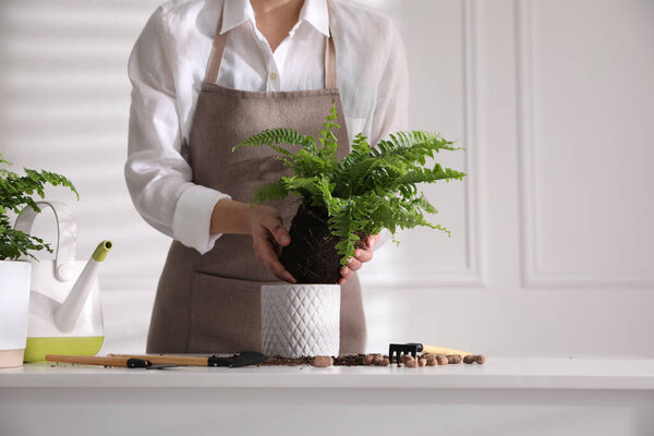 Woman planting fern at white table indoors, closeup