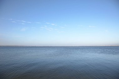 Güneşli bir günde nehir kenarı manzarası