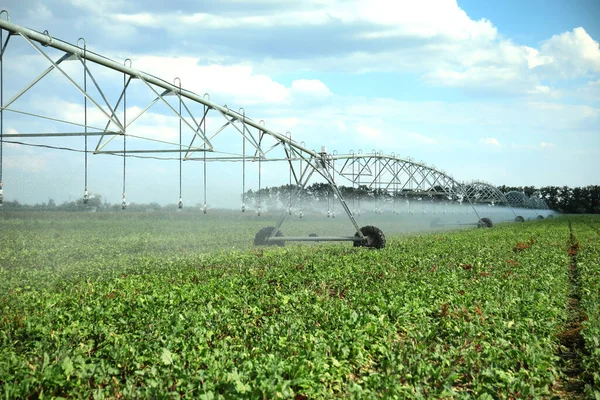 Centre Système Irrigation Pivot Arrosage Champ Agricole — Photo