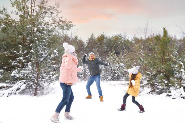 Ευτυχισμένη Οικογένεια Που Έχει Χιονοπόλεμο Εξωτερικούς Χώρους Την Ημέρα Του — Φωτογραφία Αρχείου