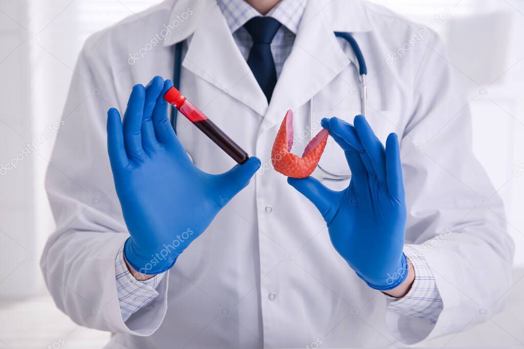 Doctor holding thyroid gland model and blood sample indoors, closeup