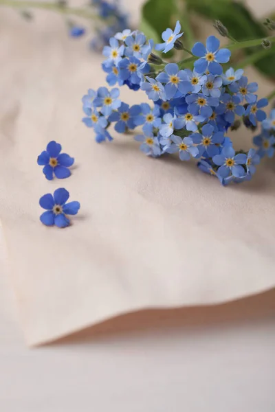 Lindas Flores Esqueça Não Pergaminho Mesa Madeira Branca Close — Fotografia de Stock