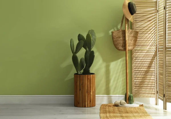 Hal Interieur Met Cactus Pot Houten Meubilair — Stockfoto