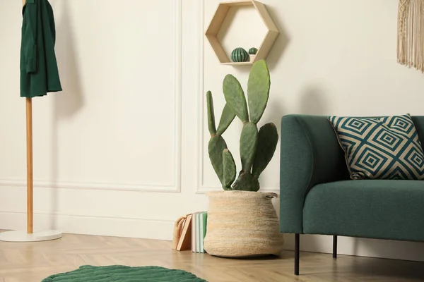 Güzel Saksı Kaktüsleri Modern Mobilyaları Olan Şık Bir Oturma Odası — Stok fotoğraf