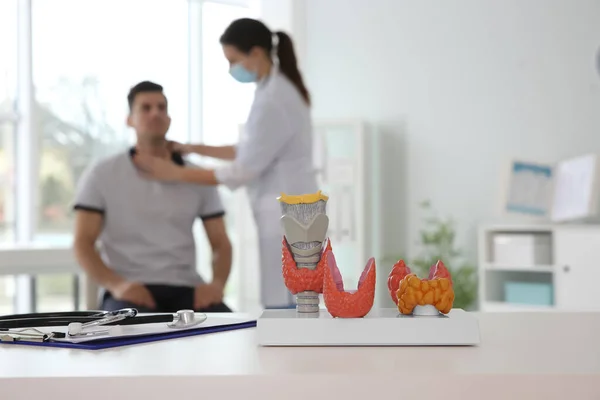 Doctor Examining Patient Office Focus Plastic Model Healthy Afflicted Thyroids — Stock Photo, Image