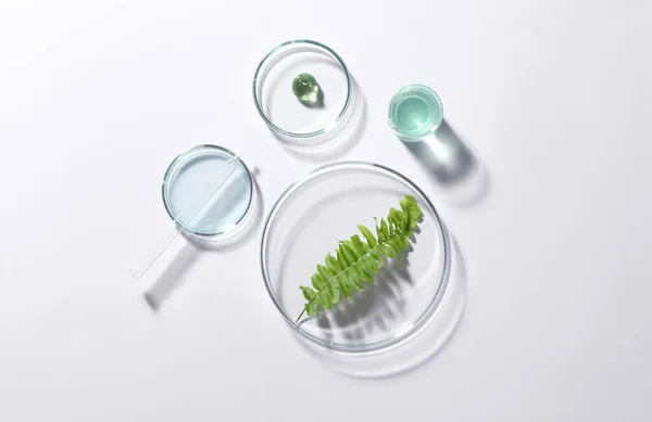 Органічний Косметичний Продукт Натуральний Інгредієнт Лабораторний Посуд Білому Тлі Вид — стокове фото