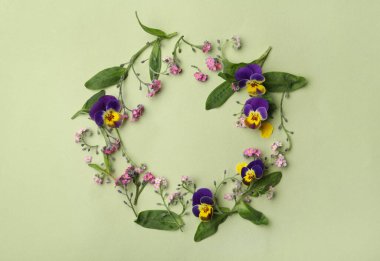 Açık yeşil arka planda güzel unutma beni çiçekleri çerçevesi, düz yatış. Metin için boşluk