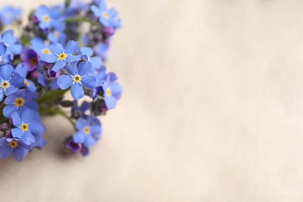 Красивые Голубые Цветы Меня Светлом Фоне Крупным Планом Пространство Текста — стоковое фото