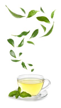 Bir fincan sıcak çay ve beyaz arka planda düşen yeşil yapraklar.