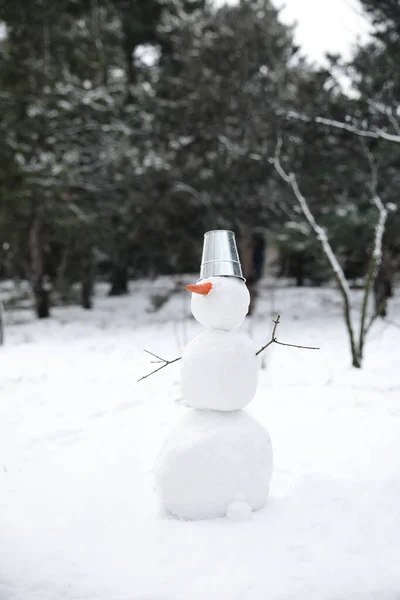 Leuke Sneeuwpop Met Metalen Emmer Wortelneus Buiten Winterdag — Stockfoto